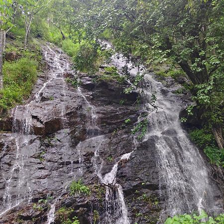 Coorg Divine Spark Home Stay Suntikoppa Ngoại thất bức ảnh