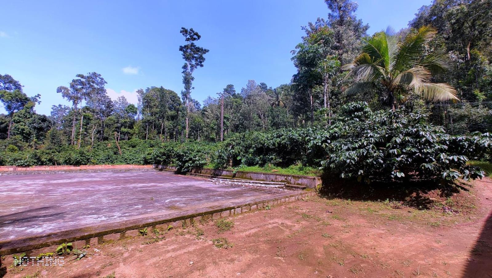 Coorg Divine Spark Home Stay Suntikoppa Ngoại thất bức ảnh