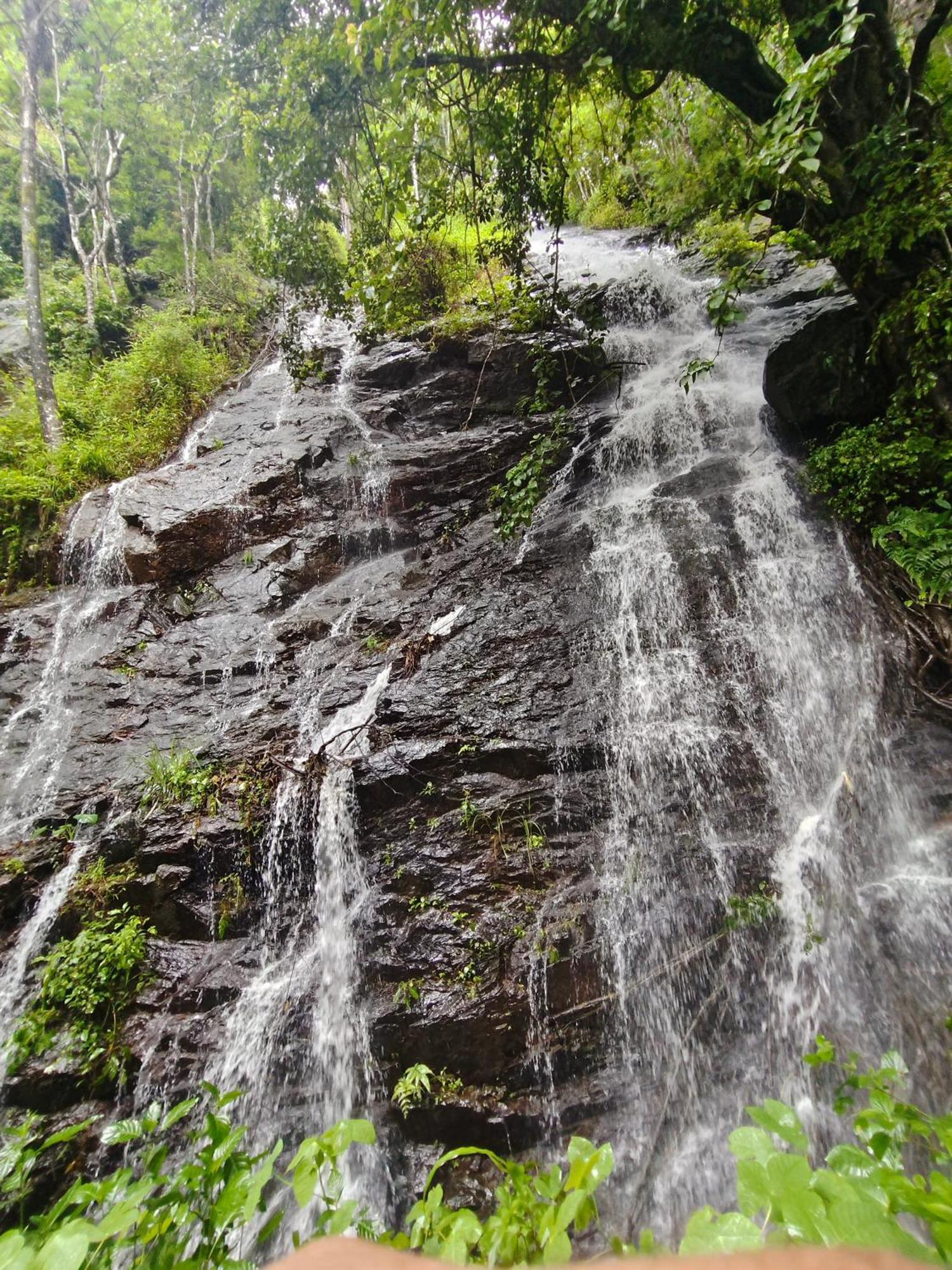 Coorg Divine Spark Home Stay Suntikoppa Ngoại thất bức ảnh